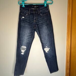 Hollister Vintage Boyfriend Distressed Jeans Size 0 W24